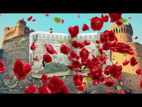 TITÓ LLIBRE SANT JORDI