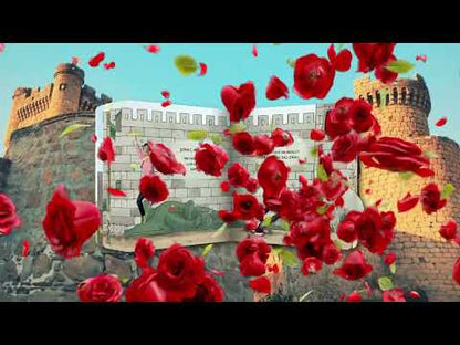 TITÓ LLIBRE SANT JORDI